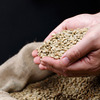Green-Coffee-Bean-voedt-je-spieren Green-Coffee-Bean-voedt-je-spieren